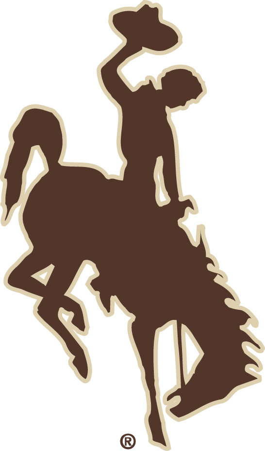 Wyoming Cowboys 2006-2012 Alternate Logo diy fabric transfer